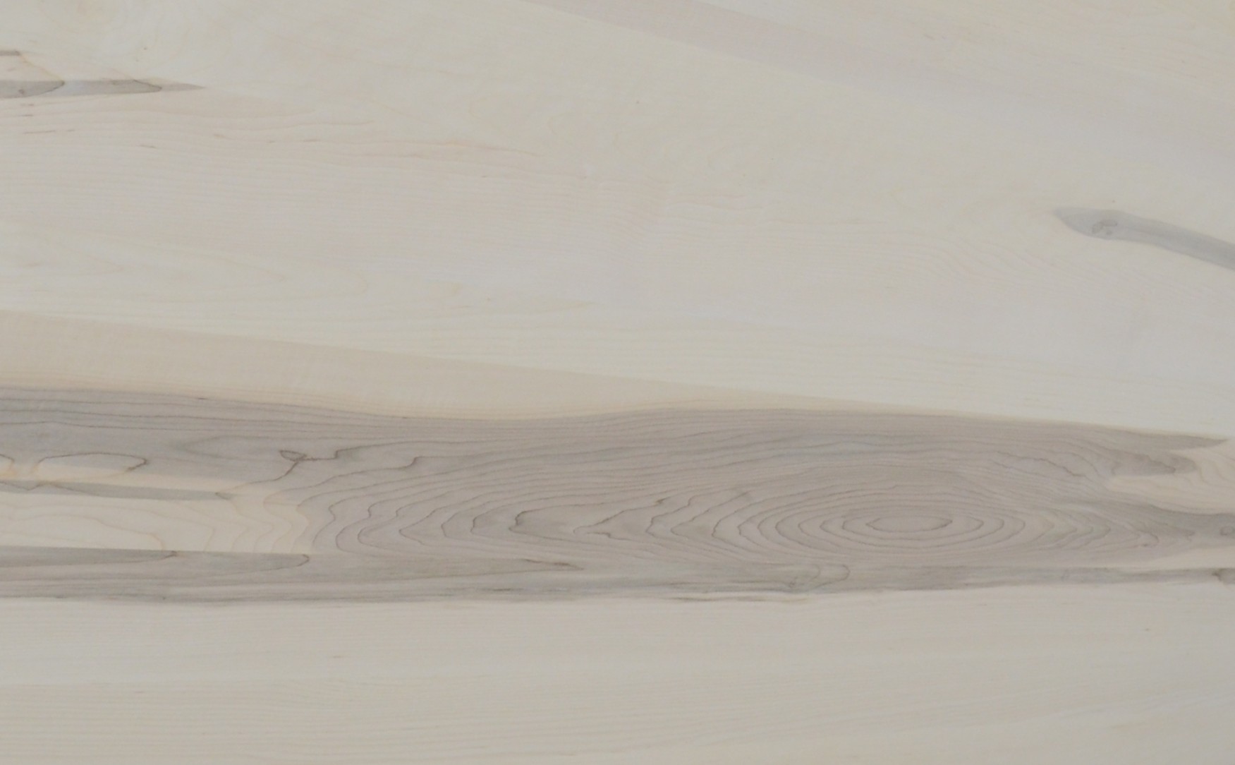 Brown Maple