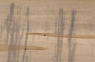 Wormy Maple Adrift 0 sheen Ruff Cut